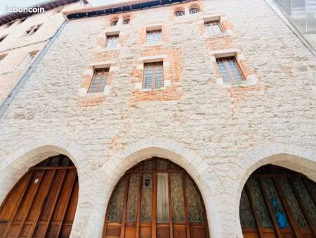 hôtel particulier 380 m² - cahors centre historique