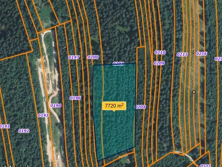 terrain bertrichamps