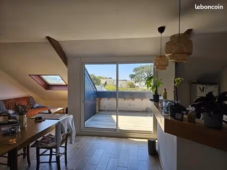 appartement 2 chambres balcon cheminée