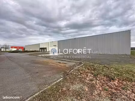local commercial 5622 m² erbray