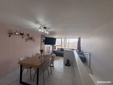 appartement duplex 3 pièces 65 45 m²