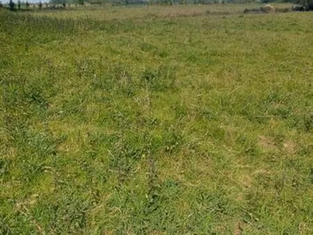 terrain pour projets agricoles ou loisirs
