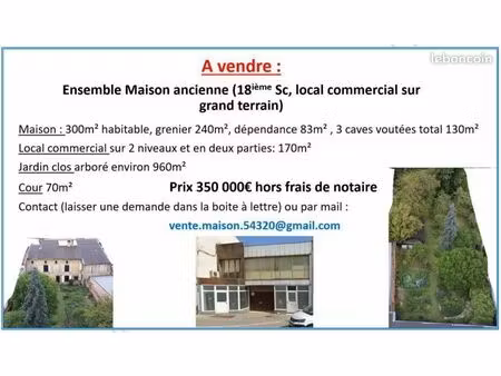 vend ensemble maison + jardin +local commercial