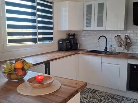 belle maison rénovée avec jardin