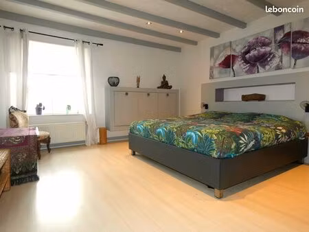 maison 230m2 - 3 chambres + loft - jardin 500m2 + terrain. calme absolu