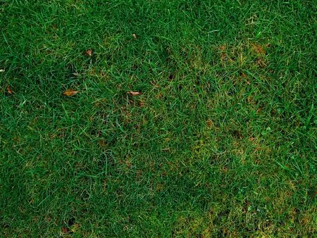 loue terrain chaumont quartier hopital