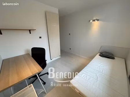 studio 1 pièce 20 m²