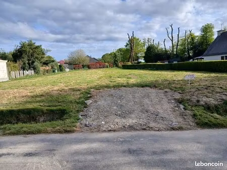 terrain constructible