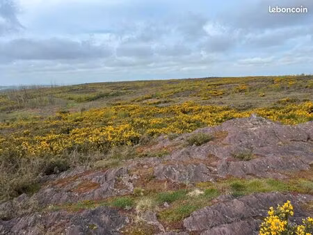 recherche terrain auray