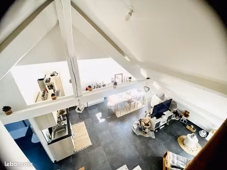 appartement moderne avec mezzanine – lumineux  cosy  prêt à vivre – 480