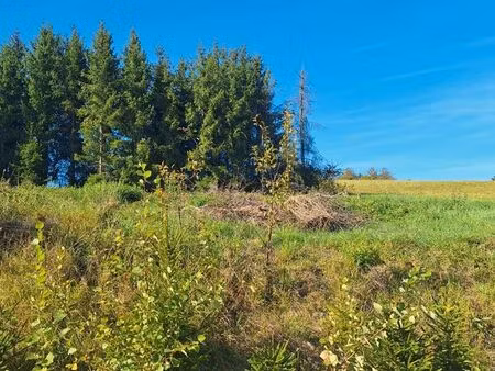 terrain à bâtir