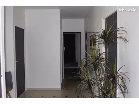 cellule dans local professionnel libre de suite