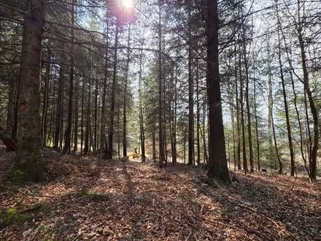 maison 7 pièces de 200 m2 campagne proche de saverne près de la foret