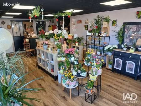 murs commerciaux 156 m² saint-sauveur-lendelin