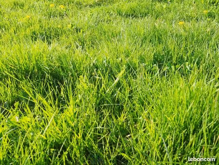 terrain 860 m² groix