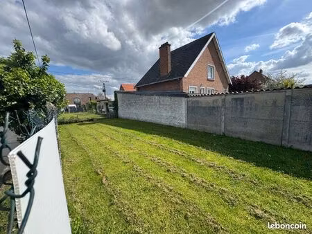 terrain constructible