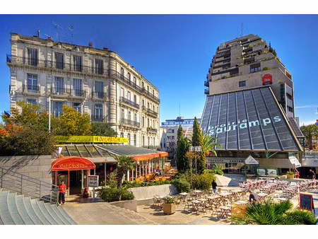 murs commerciaux - montpellier centre ville - 70m2 - triangl