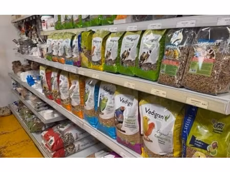 maison nîmes m² t-0 à vendre  124 000 €