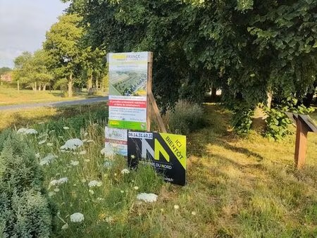 terrain 484 m² noordpeene