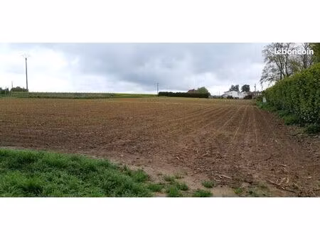 terrain 572 m² saint hilaire lez cambrai