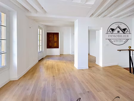 triplex 6p usage mixte 114m2 hyper centre