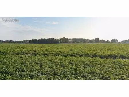 terrain 489 m² raches