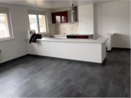 bel appartement lumineux