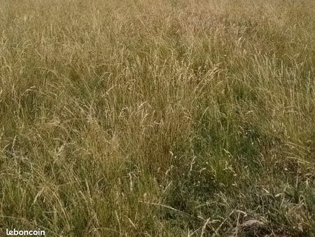 terrain 775 m² joue du bois