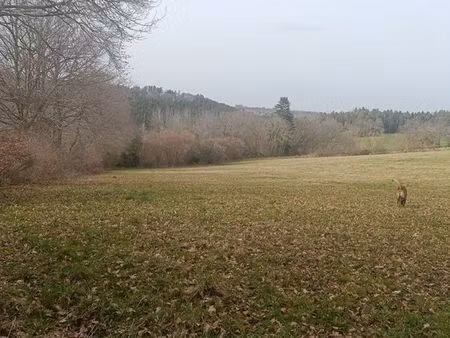 terrain agricol ou loisir