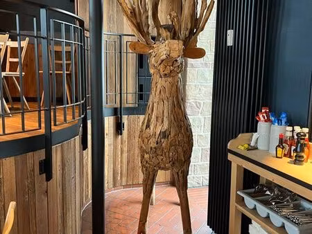 emplacement n °1 600m2 plein centre sarreguemines