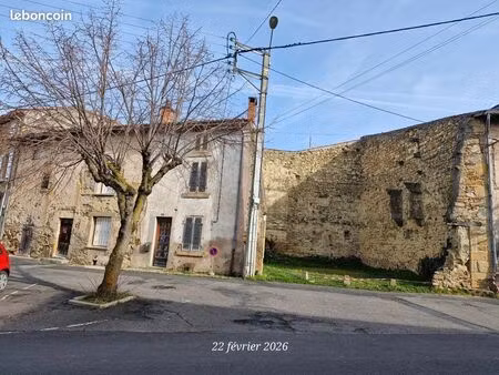 maisons avec jardin à billom ( 63160)