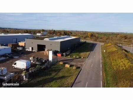 local d'activité 600 m²