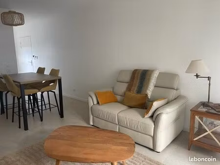 appartement t3 centre ville pau