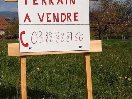 terrain constructible