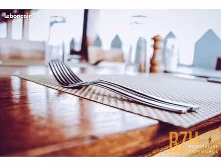 bar  brasserie  murs commerciaux 260 m² vannes