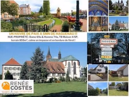 propriété en viager 4 pièces 90 m²