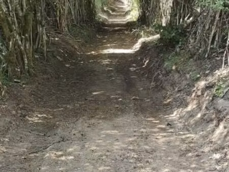 terrain 6 780 m² montsauche les settons