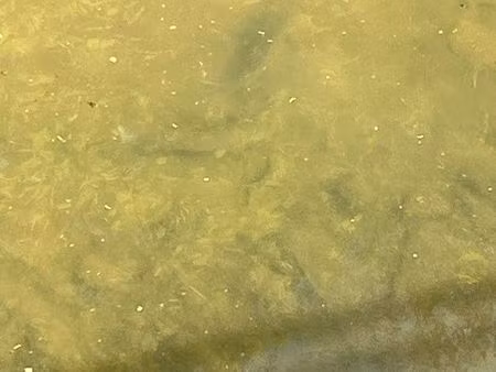 urgent recherche maison ou terrain à bâtir en vente à terme uniquement