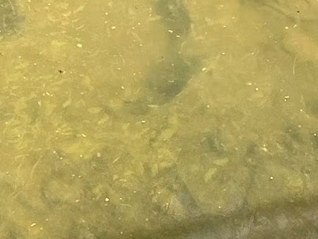 urgent particulier recherche maison à rénover ou terrain à bâtir en vente à terme uniqueme