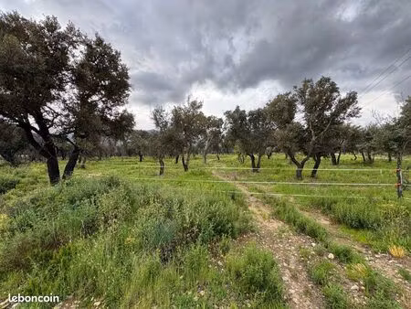 terrain agricole 1 5 hectare