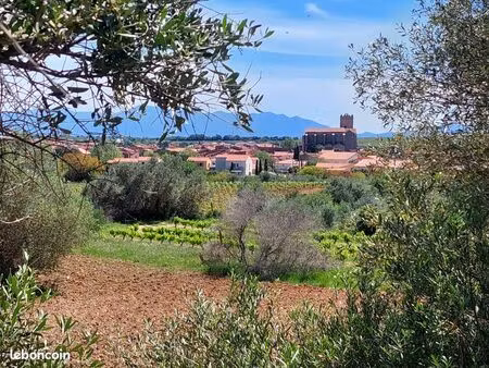 terrain arboré avec vue mer  canigou & village – 4 132 m² – baixas