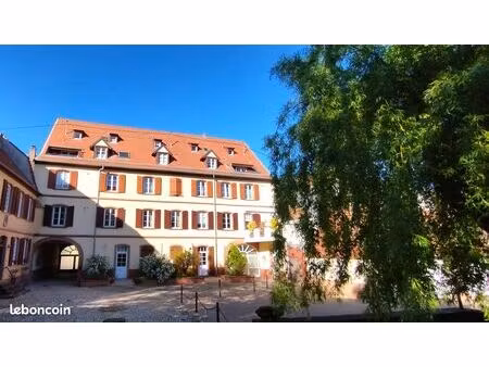 appartement duplex charmant 4/5 pièces 90m2 au cœur de saverne