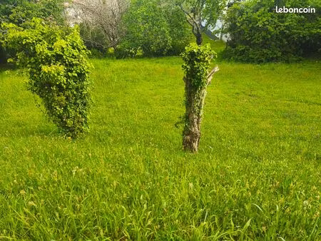 terrain 600 m2