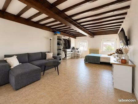 studio 1 pièce 45 m²