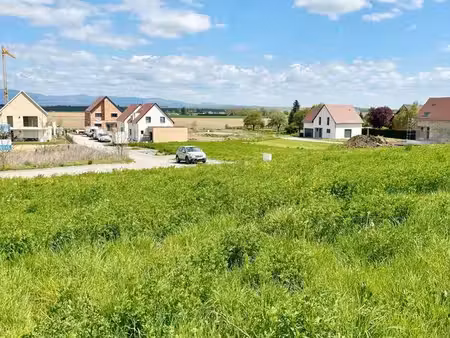 terrain 530 m² dietwiller
