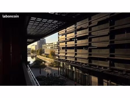 grand studio à strasbourg/black swan