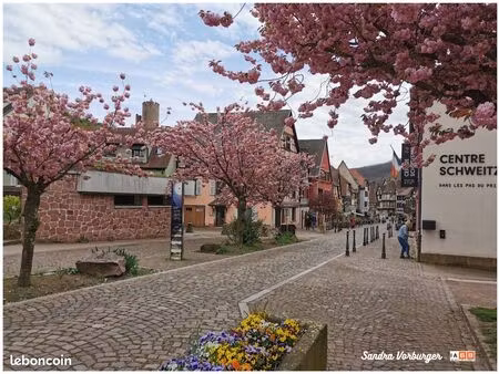 kaysersberg centre-ville : au calme d’une petite rue