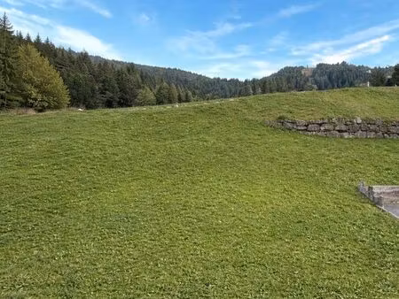 terrain constructible