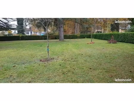 terrain constructible