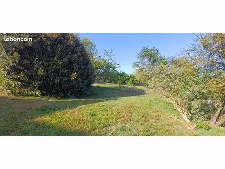 terrain constructible